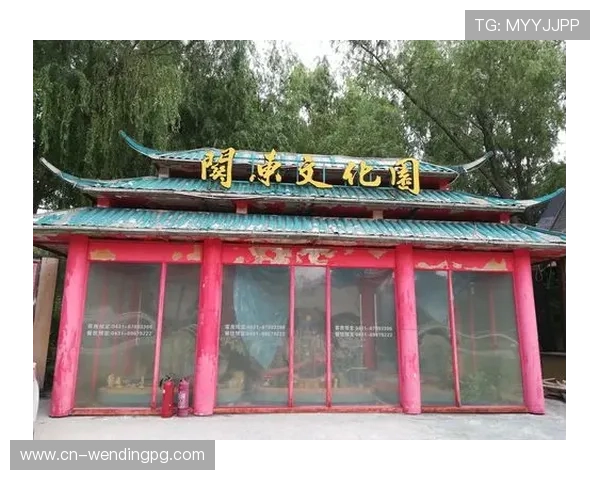 问鼎娱乐手机娱乐:手机娱乐行业未来发展趋势深度解析