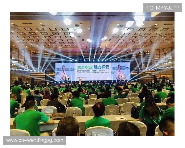 问鼎旗舰平台引领行业新潮流，打造最具影响力的游戏生态体系