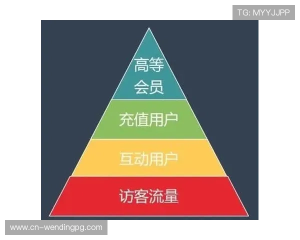 问鼎国际首页：利用数据分析优化国际首页布局实现流量最大化